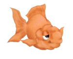 Randa